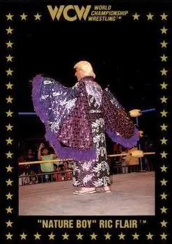 1991 Championship Marketing WCW #35 - Ric Flair - Front