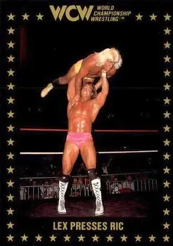 1991 Championship Marketing WCW #36 - Card #36 - Front