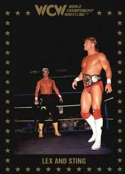 1991 Championship Marketing WCW #37 - Card #37