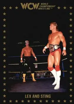 1991 Championship Marketing WCW #37 - Card #37 1991 Championship Marketing WCW #37 - Card #37