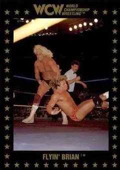 1991 Championship Marketing WCW #38 - Card #38