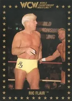 1991 Championship Marketing WCW #39 - Ric Flair
