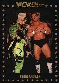 1991 Championship Marketing WCW #40 - Card #40 - Front 1991 Championship Marketing WCW #40 - Card #40 - Front