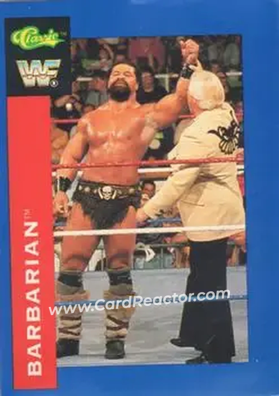 1991 Classic WWF Superstars #62 - Barbarian
