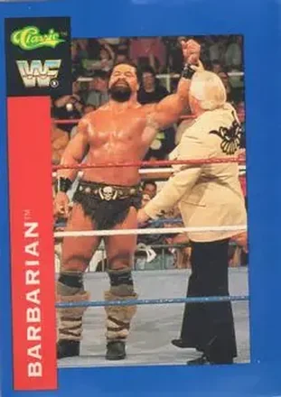 1991 Classic WWF Superstars #62 - Barbarian