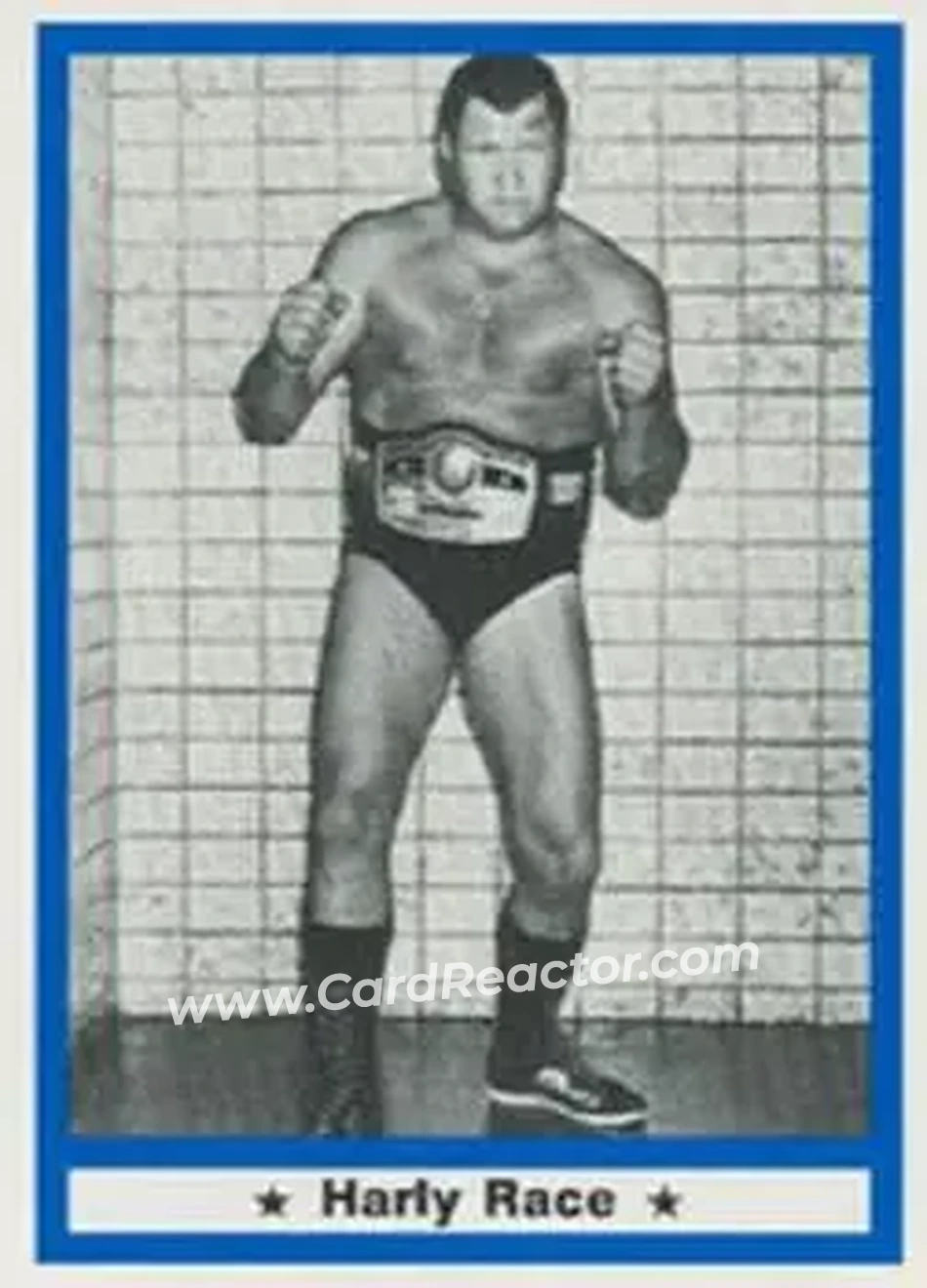 1991 Imagine Wrestling Legends #53 - King Harley Race 1991 Imagine Wrestling Legends #53 - King Harley Race