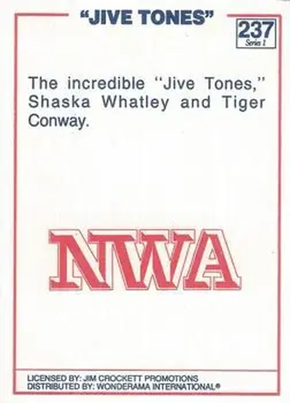 1988 Wonderama NWA #237 - Card #237