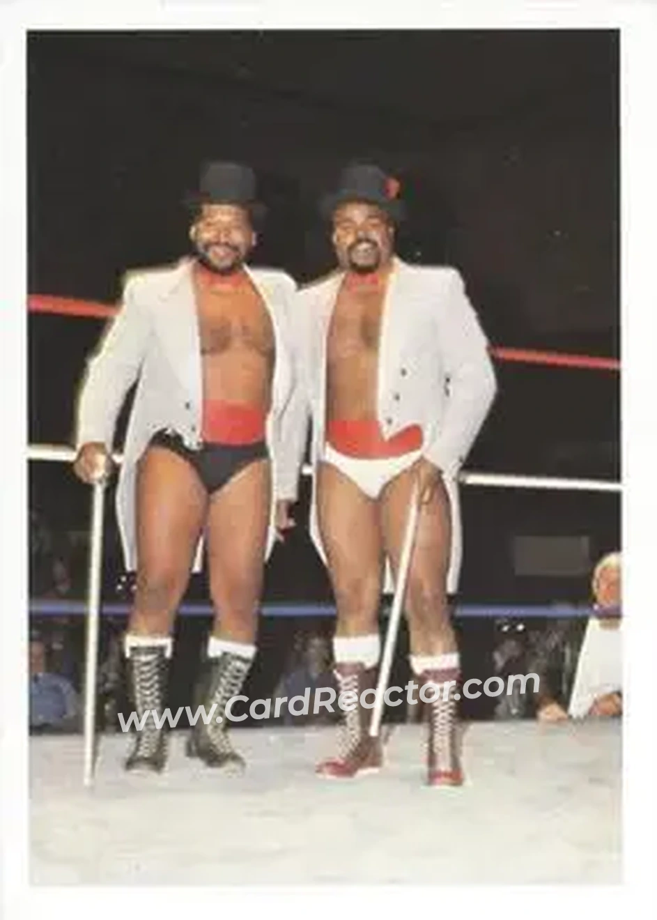 1988 Wonderama NWA #237 - Card #237