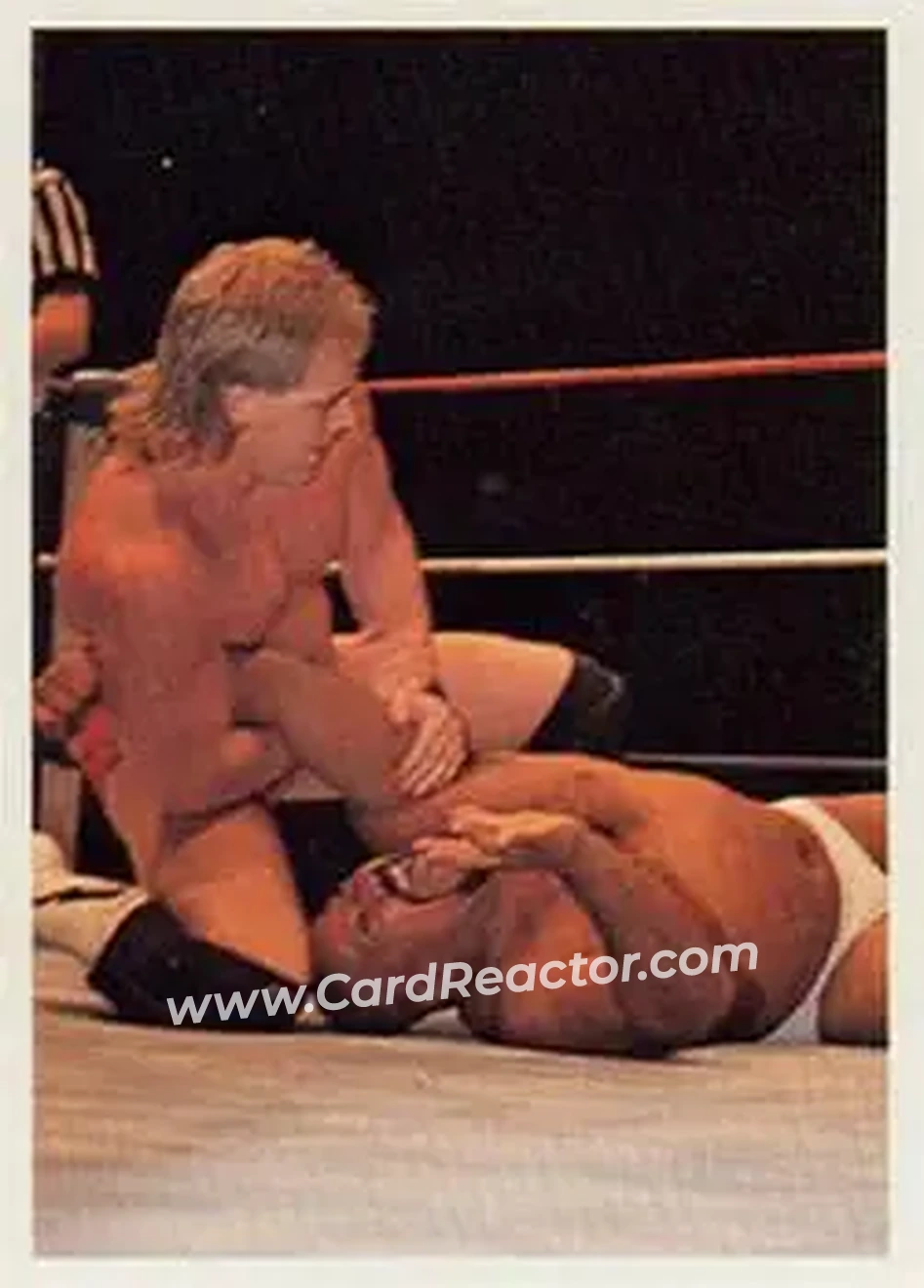 1988 Wonderama NWA #238 - Tim Horner