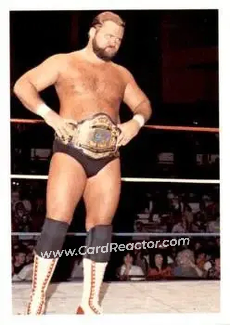 1988 Wonderama NWA #239 - Arn Anderson