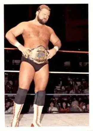 1988 Wonderama NWA #239 - Arn Anderson 1988 Wonderama NWA #239 - Arn Anderson