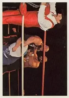1988 Wonderama NWA #241 - Paul Jones