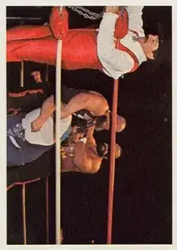 1988 Wonderama NWA #241 - Paul Jones