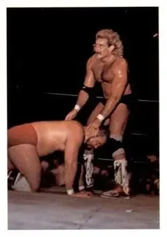 1988 Wonderama NWA #242 - Card #242