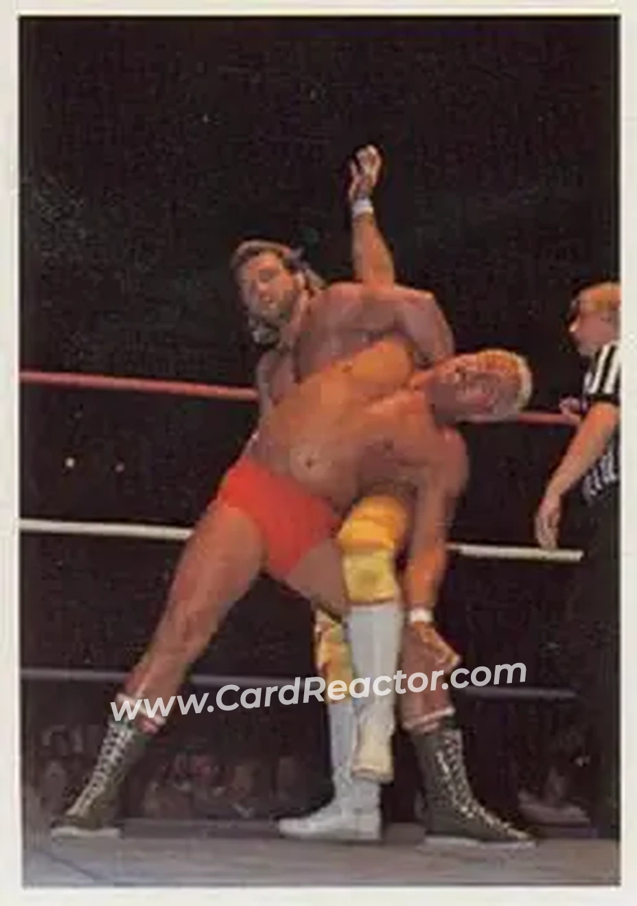 1988 Wonderama NWA #246 - Card #246