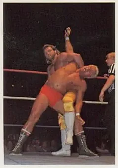 1988 Wonderama NWA #246 - Card #246