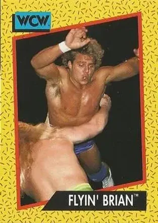 1991 Impel WCW #62 - Brian Pillman