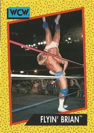 1991 Impel WCW #63 - Brian Pillman