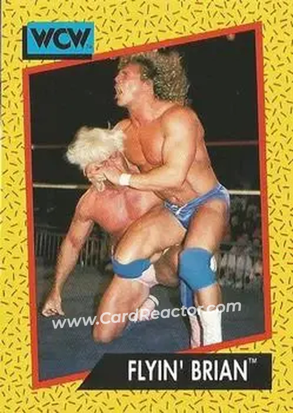 1991 Impel WCW #64 - Brian Pillman