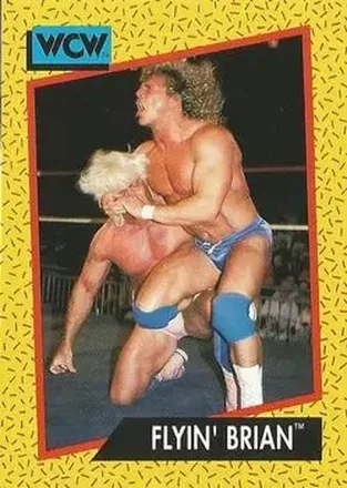 1991 Impel WCW #64 - Brian Pillman