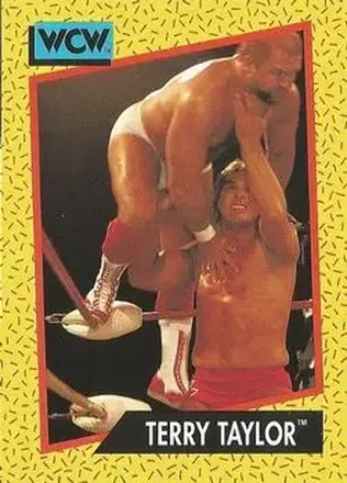 1991 Impel WCW #70 - Red Rooster
