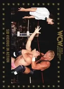 1991 Championship Marketing WCW #43 - Card #43 - Front