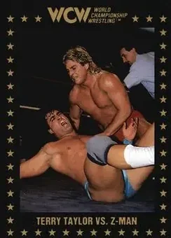 1991 Championship Marketing WCW #44 - Card #44