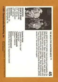 1991 Championship Marketing WCW #45 - Card #45 - Back 1991 Championship Marketing WCW #45 - Card #45 - Back