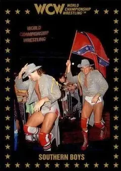 1991 Championship Marketing WCW #45 - Card #45