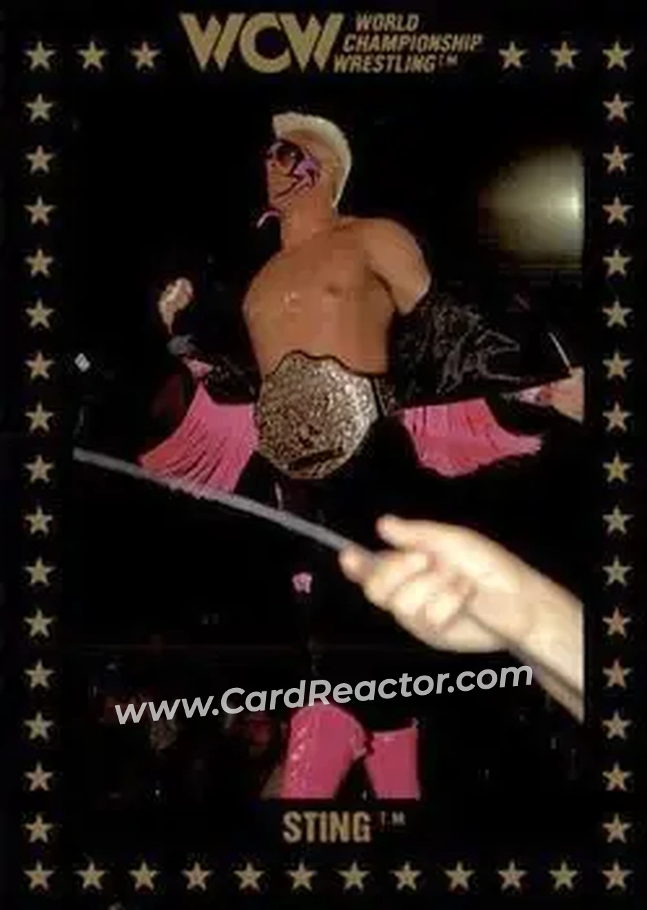 1991 Championship Marketing WCW #46 - Sting