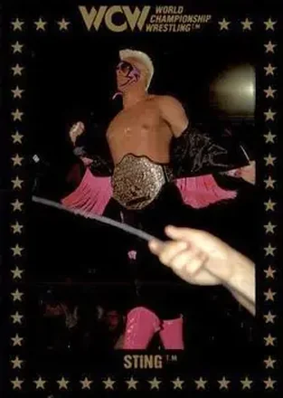 1991 Championship Marketing WCW #46 - Sting