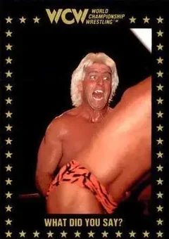 1991 Championship Marketing WCW #47 - Card #47