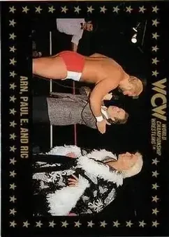 1991 Championship Marketing WCW #48 - Card #48