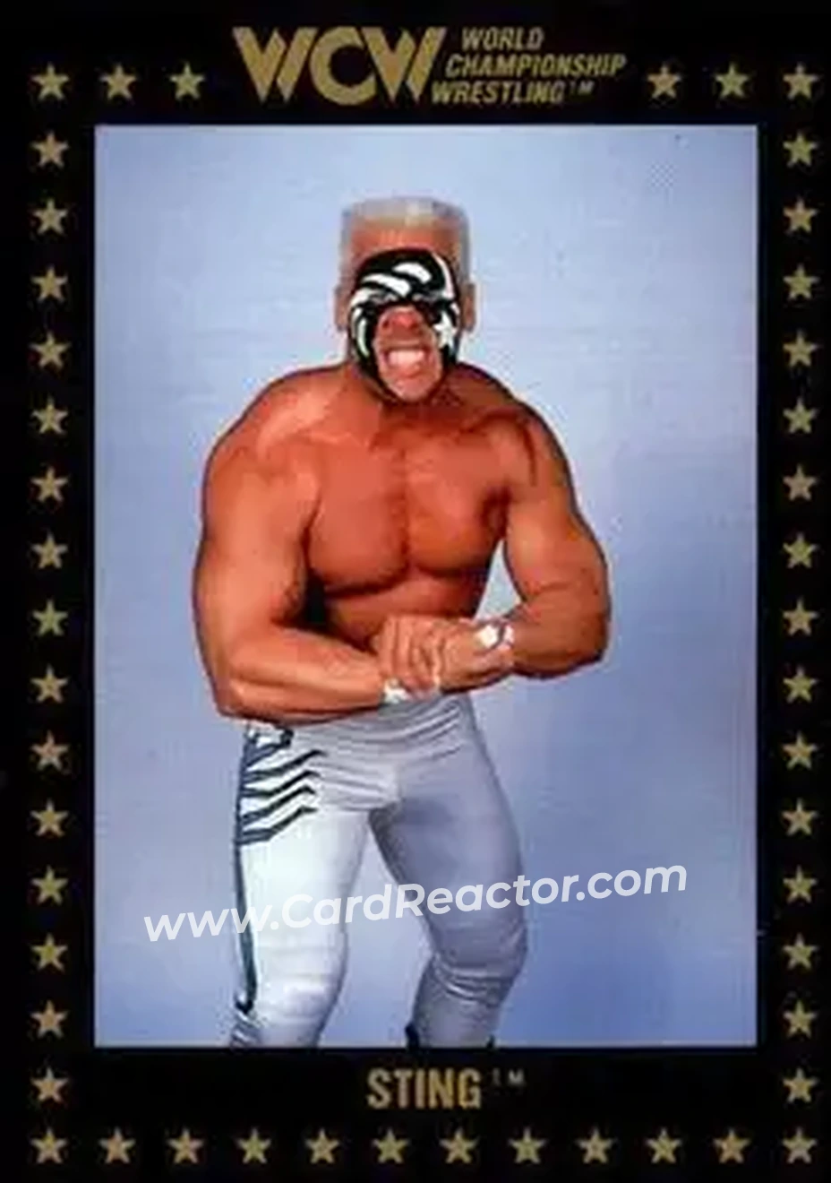 1991 Championship Marketing WCW #49 - Sting