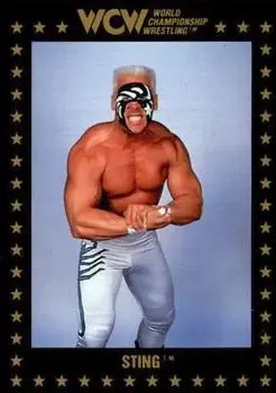 1991 Championship Marketing WCW #49 - Sting