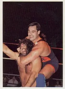 1988 Wonderama NWA #248 - Card #248