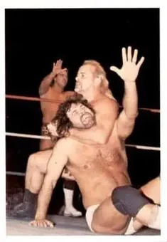 1988 Wonderama NWA #250 - Card #250