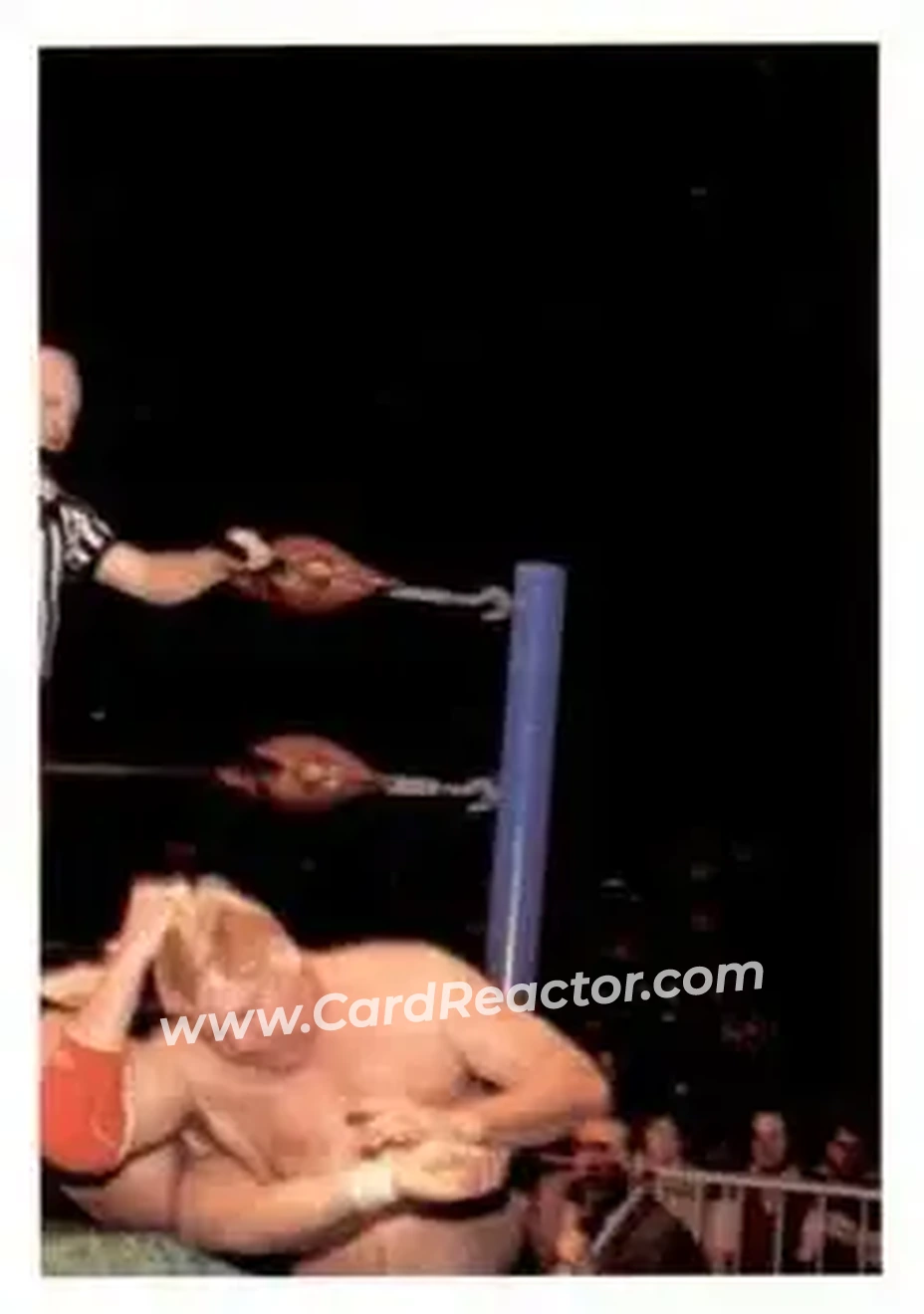 1988 Wonderama NWA #251 - Dick Murdoch