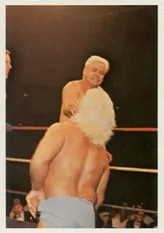 1988 Wonderama NWA #252 - Card #252