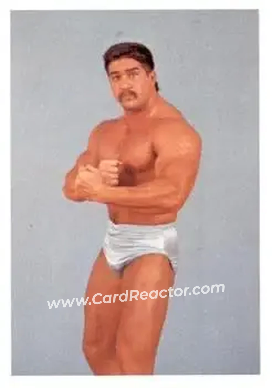 1988 Wonderama NWA #254 - Curtis Thompson