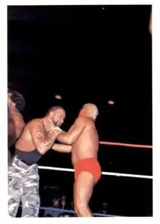 1988 Wonderama NWA #256 - Luke Williams