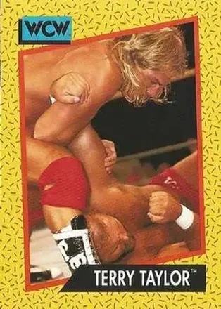 1991 Impel WCW #71 - Red Rooster