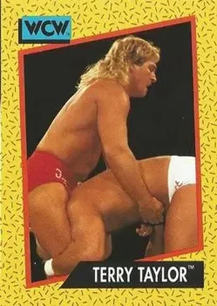 1991 Impel WCW #72 - Red Rooster