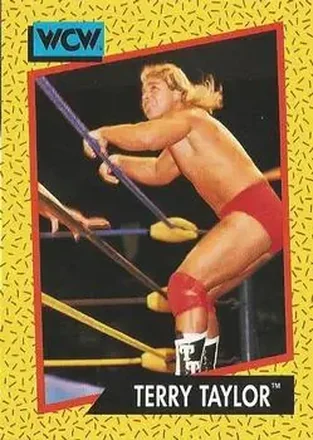 1991 Impel WCW #74 - Red Rooster