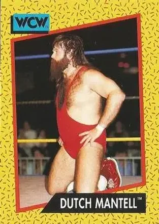 1991 Impel WCW #80 - Dutch Mantell
