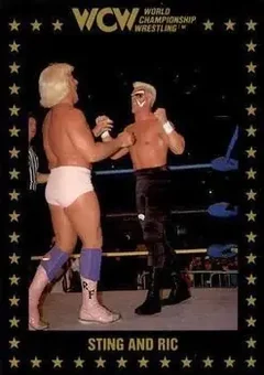 1991 Championship Marketing WCW #52 - Card #52
