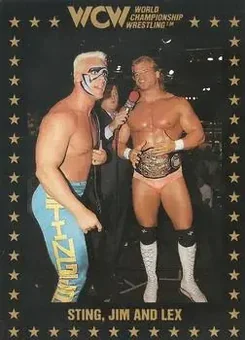 1991 Championship Marketing WCW #53 - Card #53