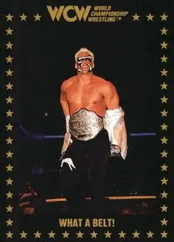 1991 Championship Marketing WCW #54 - Card #54
