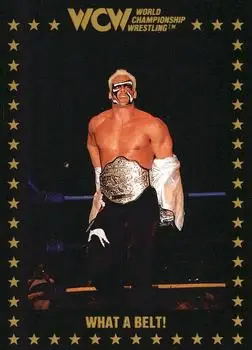 1991 Championship Marketing WCW #54 - Card #54 - Front