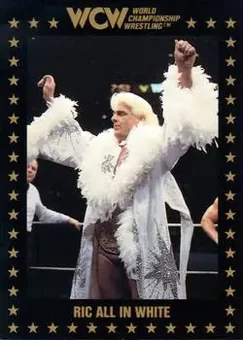 1991 Championship Marketing WCW #56 - Card #56